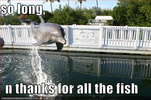 http://agentgenius.com/wp-content/uploads/2009/03/funny-pictures-dolphin-jump-all-the-fish.jpg