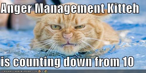 anger-management-kitteh.jpg