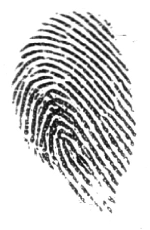 fingerprint2.jpg