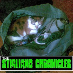 Pack Up The Cats - The Stigliano Chronicles