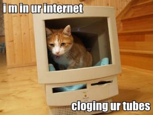 i-m-in-ur-internet-cloging-ur-tubes